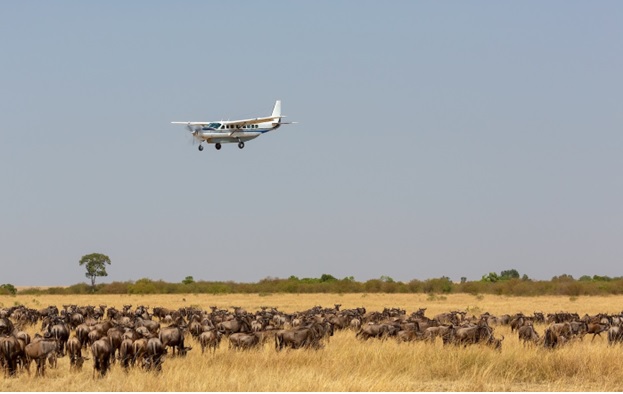 Wings over maasai mara Afio Mai Africa Safaris
