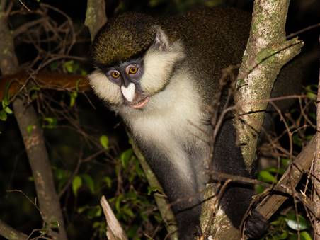 Discover The Magical Pearl Of Africa