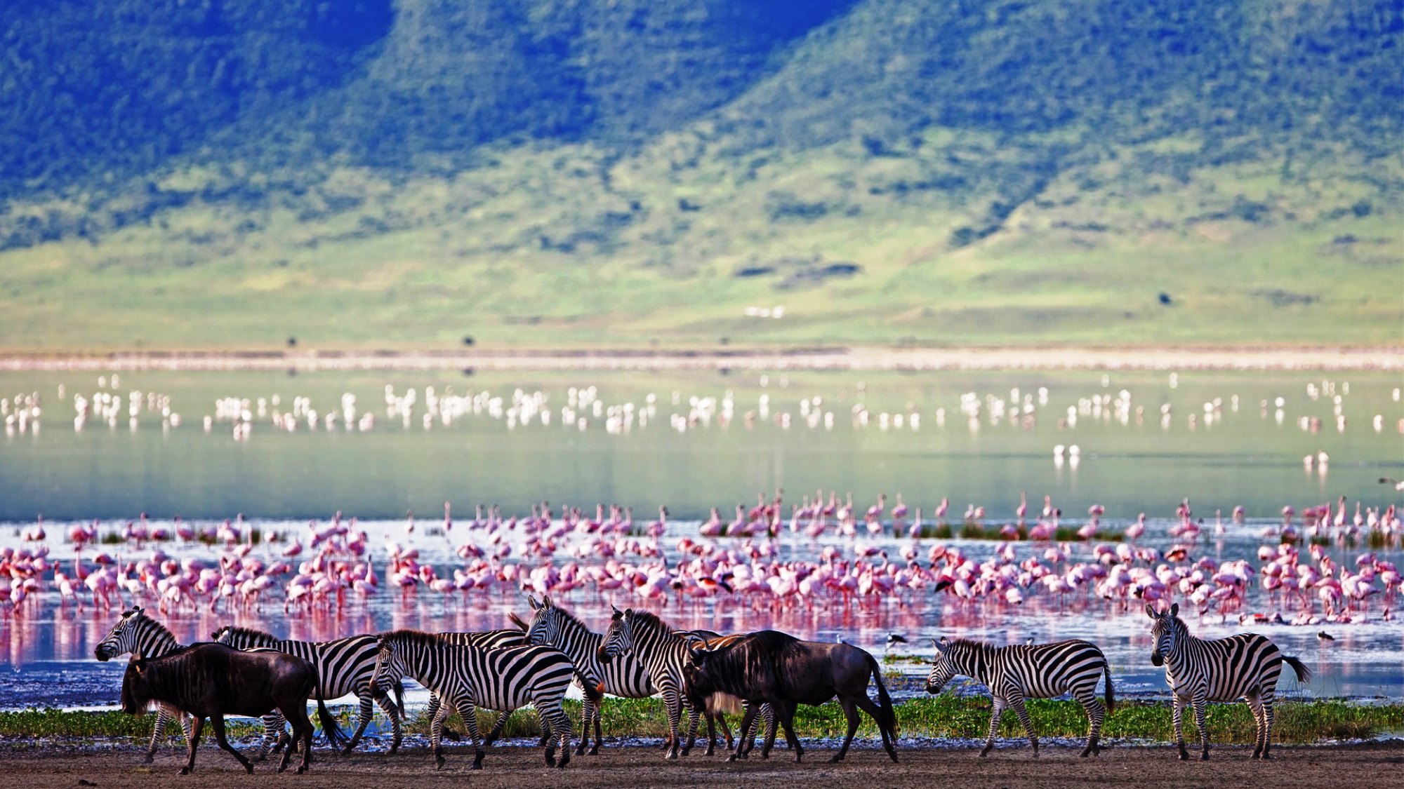 Jambo Tanzania Safari