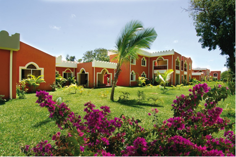dream of zanzibar with afiomai
