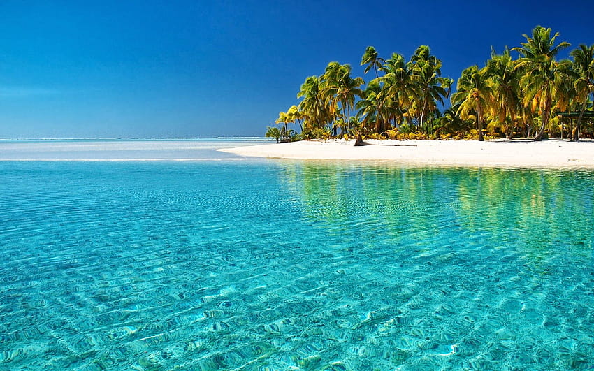 Zanzibar North Coast